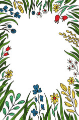 Floral background. Vector illustration. drawn by hand frame herbal