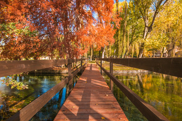 Fototapeta na wymiar Romantic wooden bridge over Clitunno lake in the autumn season with foliage
