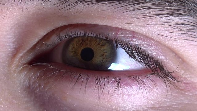 Eye pupil react to light
