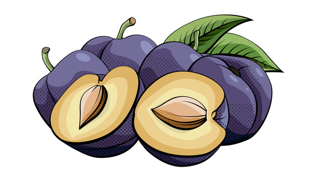 purple plums with cut fruit and leaves clip art preview