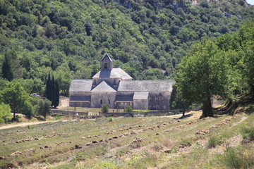 Abbaye de Senanque