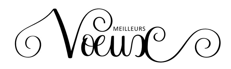 Calligraphie vecteur noir MEILLEURS VOEUX