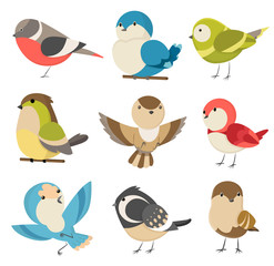 Set of cute little colorful birds isolated on white background. Common house sparrow couple, male and female. Small birds in cute cartoon style. Isolated vector clip art illustration