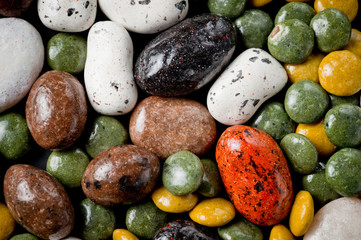 .Pebble-dragee with apricots, chocolate, mandarin and marzipan.