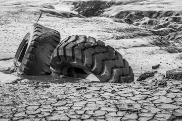 Fotografia Preto e Branco de detalhes