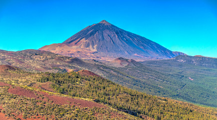 Teide National Park, Tenerife - obrazy, fototapety, plakaty
