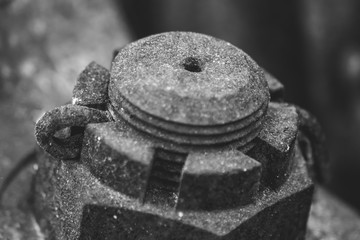 Fotografia Preto e Branco de detalhes