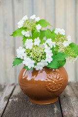 Bouquet of viburnum flowers. Vintage floral background