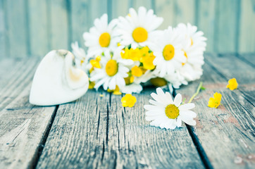Obraz premium Daisies. Vintage romantic floral background. Instagram effect