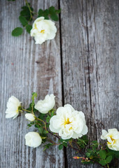 Fototapeta premium Flowers. White roses on an old shabby desk. Vintage floral background