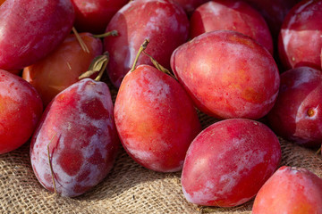 Fresh organic plums. Plums close-up, selective focus.  