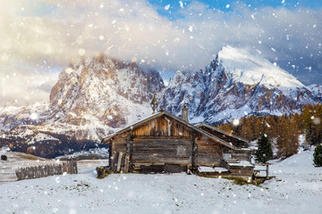 Beautiful Winter at Alpe di Siusi, Seiser Alm - Italy - Holiday background for Christmas.