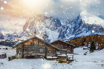 Beautiful Winter at Alpe di Siusi, Seiser Alm - Italy - Holiday background for Christmas.