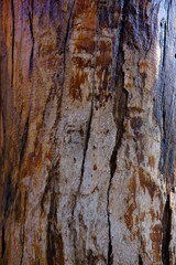 old wood texture