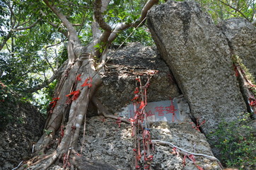 Obraz premium landscape, Park