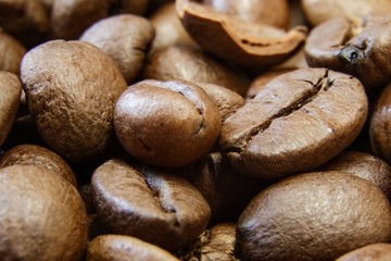 Rasted coffee beans