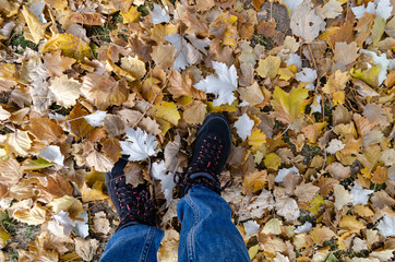 Feet of young woman on leaves.