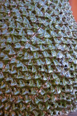 background with pattern