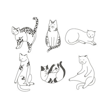 Vector linear illustration set of adorable catsn in different poses sleeping, stretching itself, playing. Cats breeds.