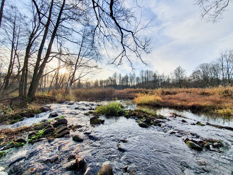 Jesienny poranek nad rzeką. Rzeka Grabia, Ldzań, Polska