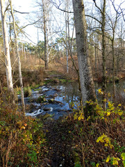 Jesienny poranek nad rzeką. Rzeka Grabia, Ldzań, Polska