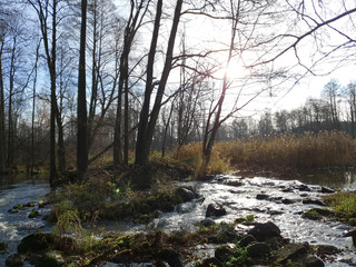 Fototapeta na wymiar Jesienny poranek nad rzeką. Rzeka Grabia, Ldzań, Polska