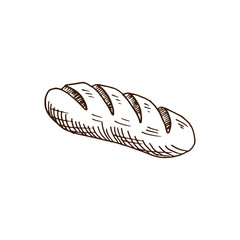 Hand drawn loaf of bread. Sketch style vector illustration. Isolated on white.