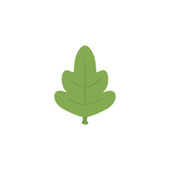 vegetable chard flat style icon