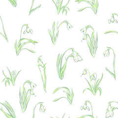 Seamless pattern flowers snowdrop, flowering plants to bloom on white background. Spring time. - 305675442