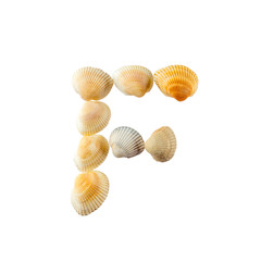 Letter "f" composed from seashells, isolated on white background