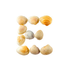 Letter "e" composed from seashells, isolated on white background
