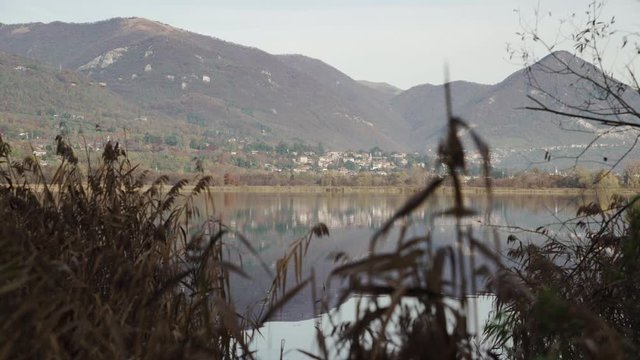 Lake Alserio in autumn behind reedbeds
