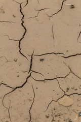 ground cracks