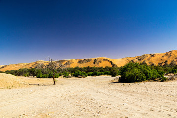 Gravel road that ends at the red dunes of Namib desert with Kuiseb riverbed in front, Namibia, Africa