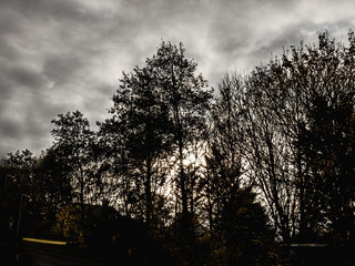 SHOPPING wOODS