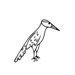 Woodpecker bird in hand drawn Scandinavian style. kids room decor