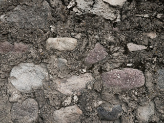 Large stones in the swamp, gray texture for the background