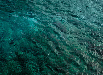 Marine texture in deep sea-green color for your as backdrop in turquoise tones. Blue-green background of sea water with ripples on surface, top view.