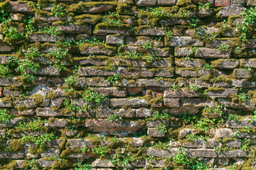 古い煉瓦の壁