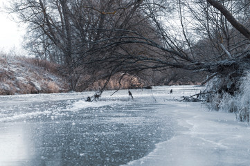 winter landscape on a frozen river, ice on the river