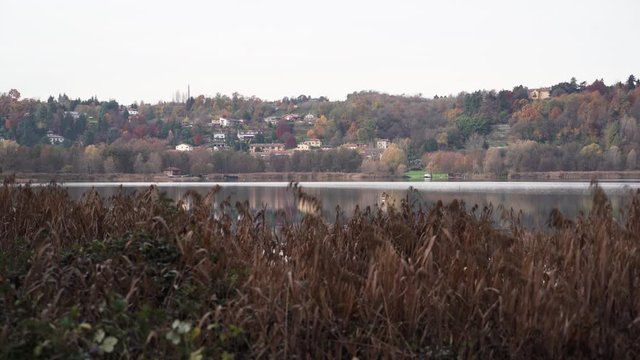 Lake Alserio in Brianza behind reedbeds
