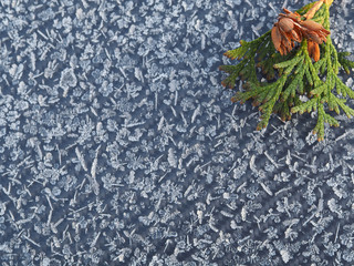 On a black background beautiful crystals of frost pattern, coniferous branches and cones....