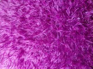 Soft fur in purple shade background