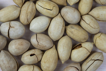 Pecans in the shell against a bright background. Nut background