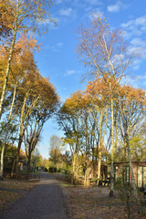 Niebieskie niebo z białymi obłokami nad asfaltową dróżką wśród drzew i drewnianych domków. © W Korczewski