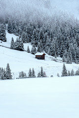 Wooden hut in Alpine mountains in deep snow during winter evening  / South Tyrol region during winter