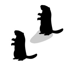 Holiday Groundhog Day. Falling shadow prediction of spring