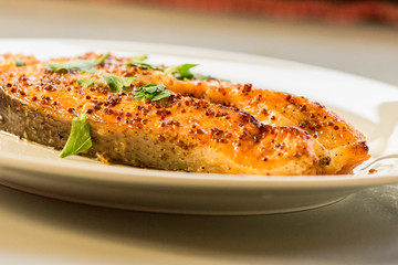 cook salmon in white plate with honey and mustard