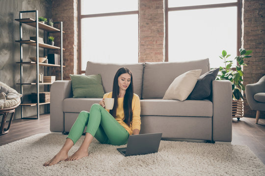 Full length photo of interested girl sit floor carpet use computer search internet movie hold cup with cacao wear yellow pullover green pants in house indoors