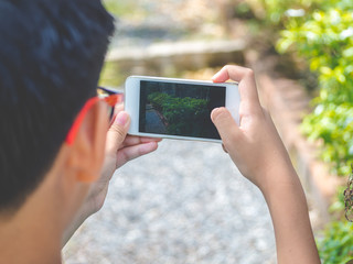 Young asian boy looking for attractive and taking photo by smart phone on forest background and nature holiday. Travel concept
